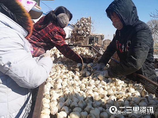 白城资讯速递最新消息更新