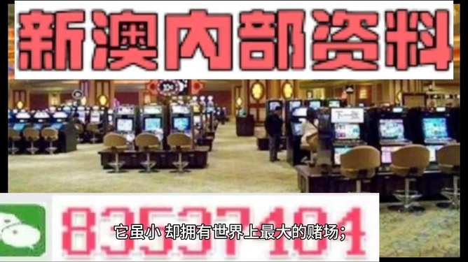 ＂2024新澳门正版精准免费大全＂的：实地观察数据设计_先锋版9.32