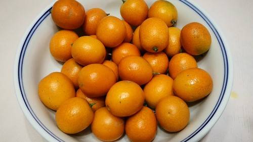 最新止咳药推荐，科普实用指南与用药建议