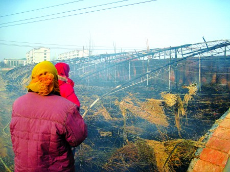 历城区董家镇最新动态与温馨日常概览