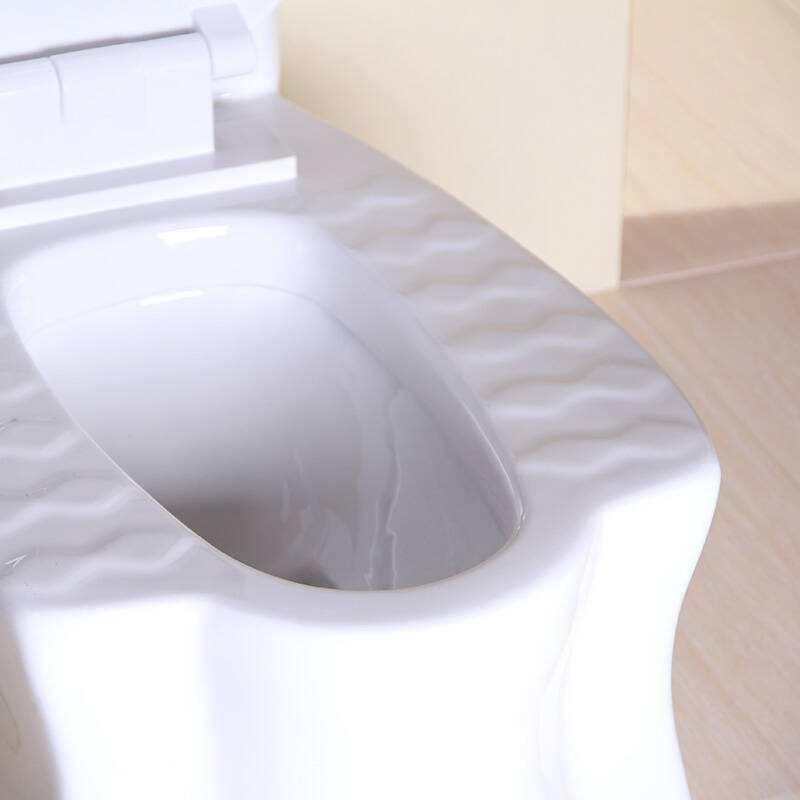 最新两用坐蹲便器及其安装使用指南