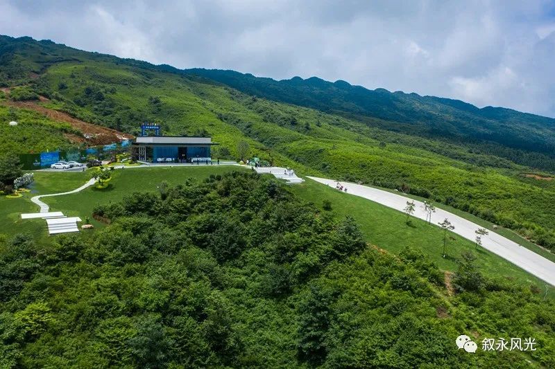 罗汉林最新探索，自然美景的轻松之旅