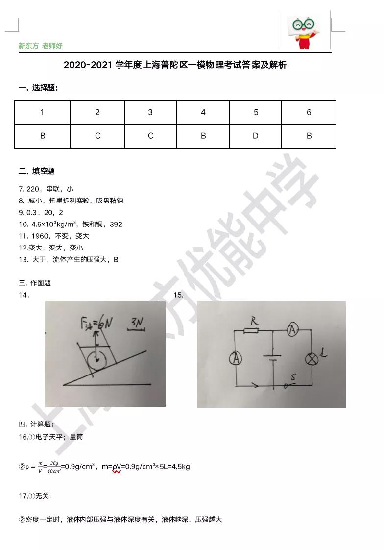 普陀物理最新揭秘，光的奥秘与温馨的友情探索