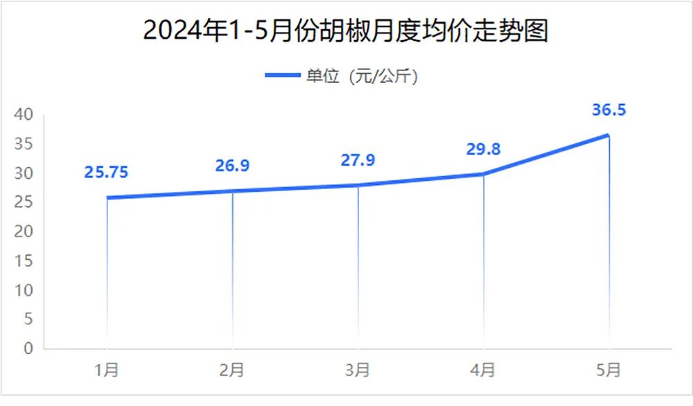 胡椒价格行情最新趋势分析🌶️