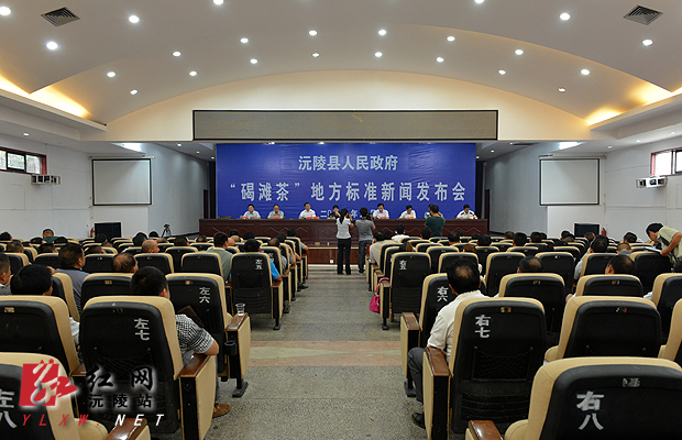湖南沅陵县最新新闻，友情与陪伴的温馨故事